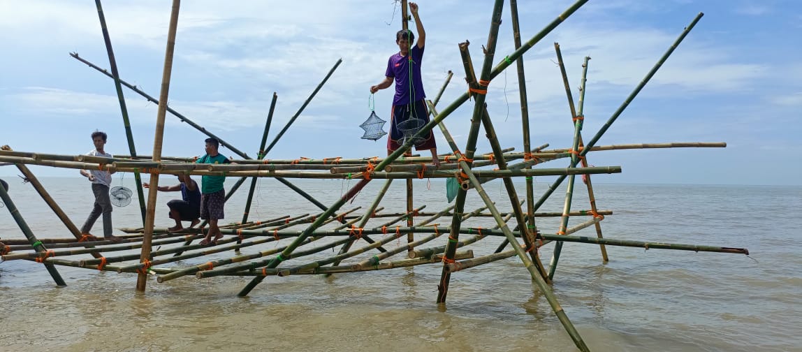Pembelajaran dan Inovasi dari Nelayan Jepara: Pembuatan Apartemen Rajungan
